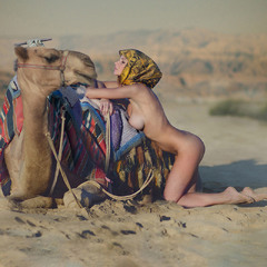 Titanic Of The Desert