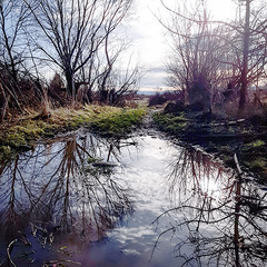 ЗИМА НА ПОРОЗІ