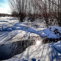 МОРОЗНИЙ РАНОК