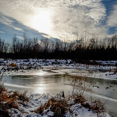 СРІБЛО ІНЕЮ НА БЕРЕГАХ РІКИ