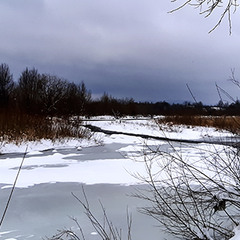 ЧОРНО-БІЛИЙ СВІТ