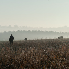 Ранковою порою