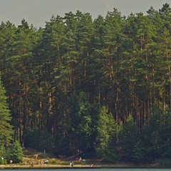 Озеро среди леса