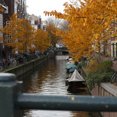 Амстердам листопад 2