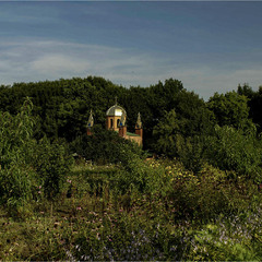 Подвір'я  Мотронинського монастиря