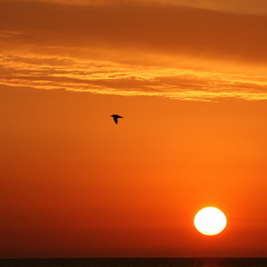 Вище сонця. Світанок на Азовському морі.