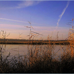 Теплий вечір грудня.