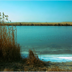Морозний день лютого.