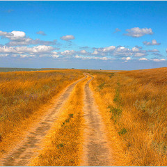 Спекотне літо серпня..