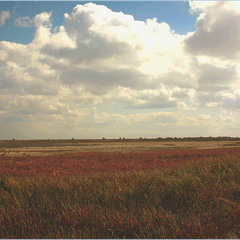 Краса степових просторів.