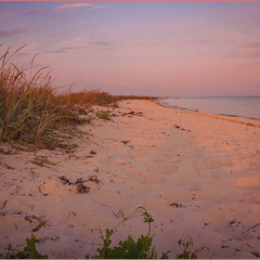 Пустельні острови Чорного моря.