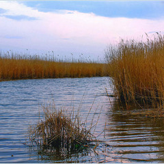 Перші весення дні.