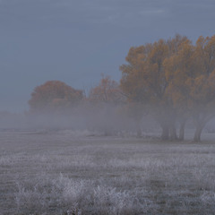 Осень в тумане