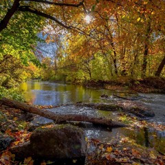 Осінній мотив