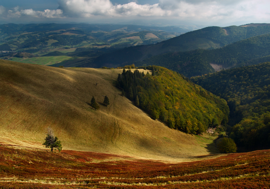 Карпаты Осенью Фото