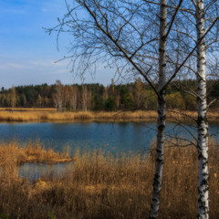 Весна лісового озера ч.8