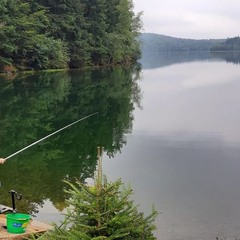 Pêche  au  lac  ....