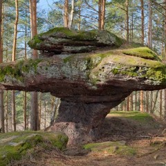 Roche  du  champignon