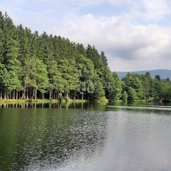 Etang  du  Souche