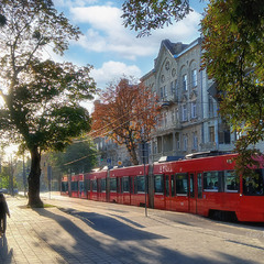 Ранок у Львові