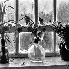 отакая "ікебана"...