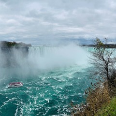 Formidable Niagara