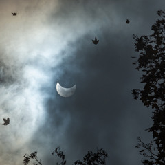 Часткове сонячне затемнення, 25 жовтня 2022