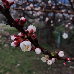 Весна)))
