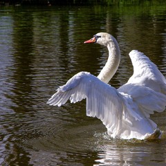 Предвзлётная подготовка