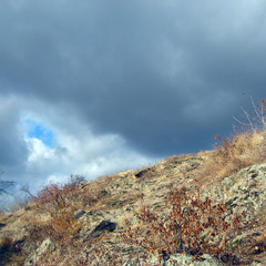 Окно надежды