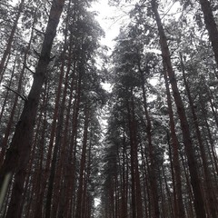 Окрестности