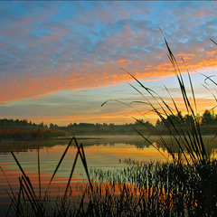 Утро на безымянном озере