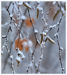 Каліграфія грудня