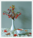 Останні дари жовтня