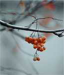 Каліграфія жовтня