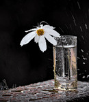 Божевілля природи...