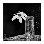 Шаленство природи (варіант -2)