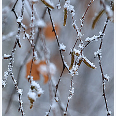 Каліграфія грудня