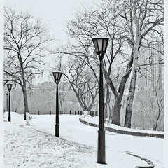 Перша пороша