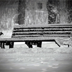 Ану-ну, а що ви там  мені принесли?