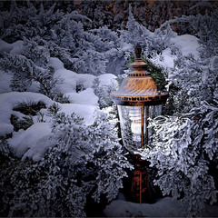 Кубельце для маленького ліхтаря