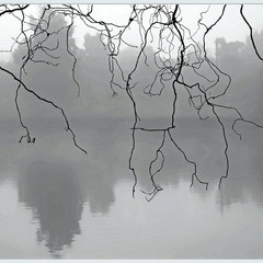 Збідніла палітра осені