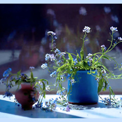 Дві реальності...