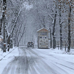 Вуличка моїх спогадів