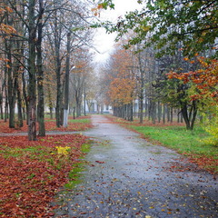 Осінь із Полтавщини.