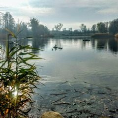 Ранкове озеро