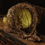 Пойманная в сеть