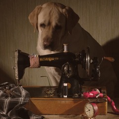 Всі замовлення будуть виконані... Завтра!