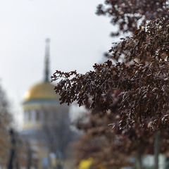 Осіні барви міста