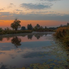 Світанки Полісся